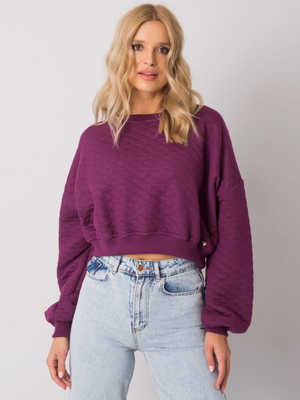 Großhandel Violettes Crystal Stepp-Sweatshirt