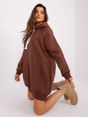 Brown basic sweatshirt with hood