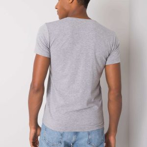 Gray men's t-shirt with print Asher