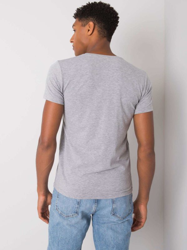 Gray men's t-shirt with print Asher