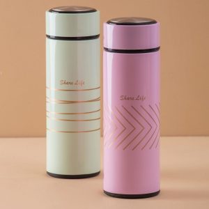 Pink Stainless Steel Bottle