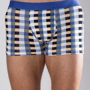 Blue and black plaid boxer shorts