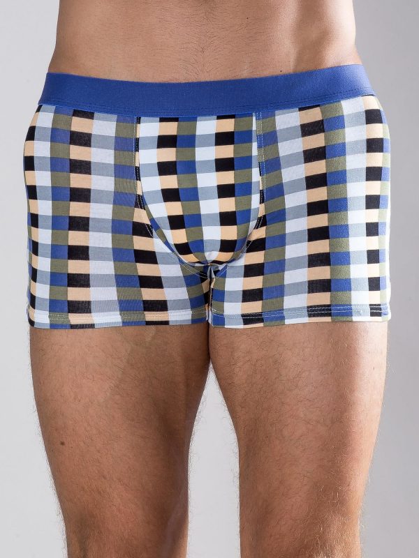 Blue and black plaid boxer shorts