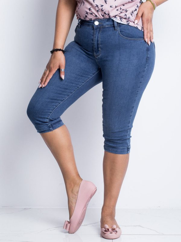 Blue Plus Size Jeans Anchor