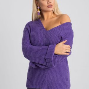 Carla's Purple Plus Size Sweater