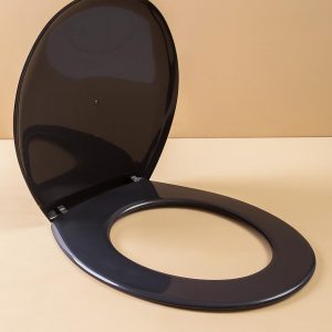 Black Toilet Seat