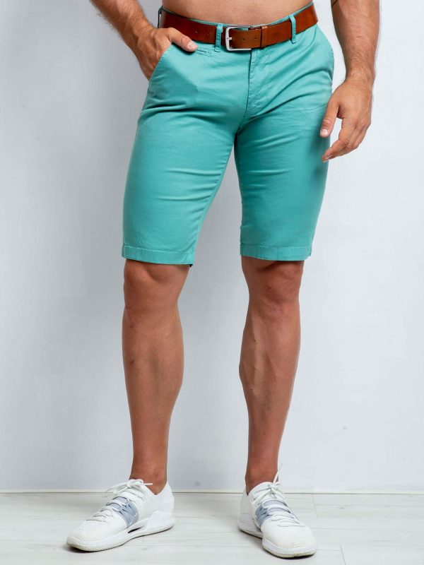 Men's Green Plus Size Shorts Brady