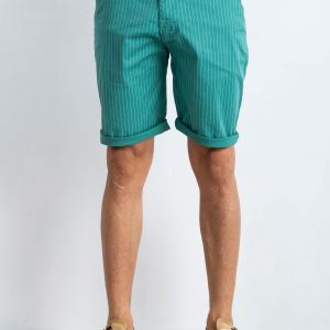 Hamilton Men's Green Shorts