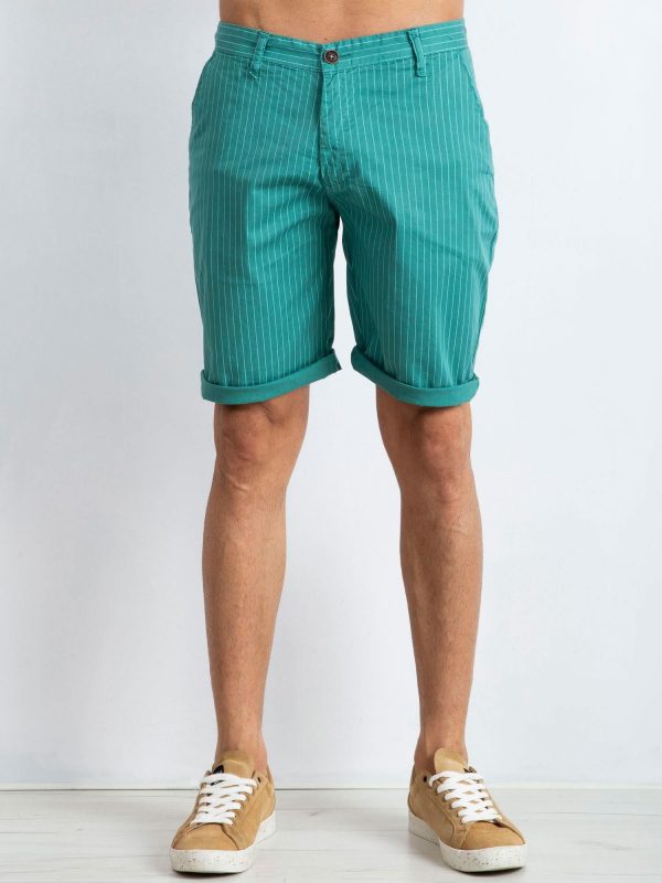 Hamilton Men's Green Shorts