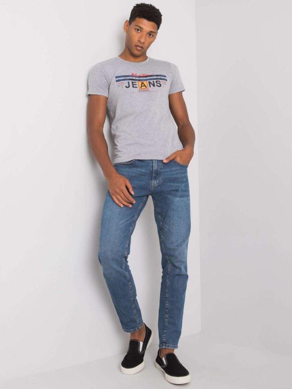 Gray men's t-shirt with round neck Royce