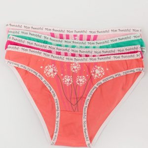 Printed Panties 4-Pack