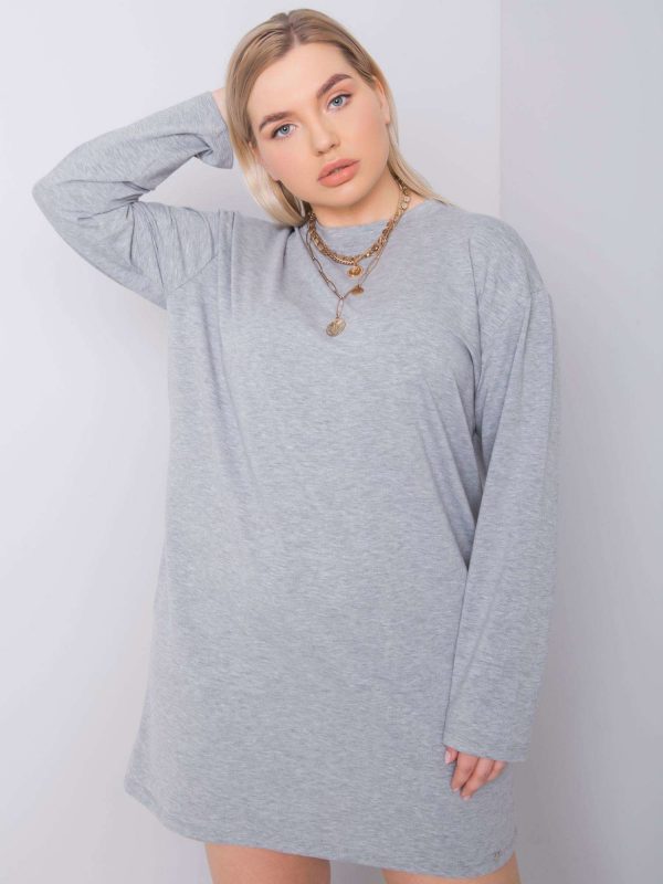 Grey Giselle Plus Size Dress