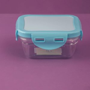 Blue Small Food Container