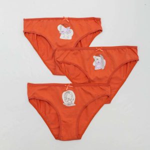 Orange Women's Panties 3-Pack