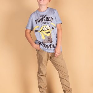 Wholesale Blue boy t-shirt MINIONS