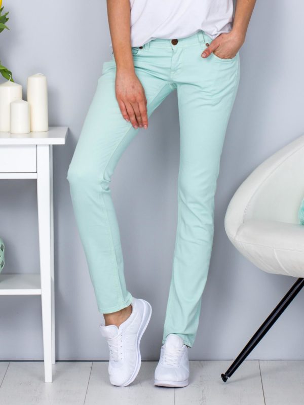 Wholesale Regular cut mint pants