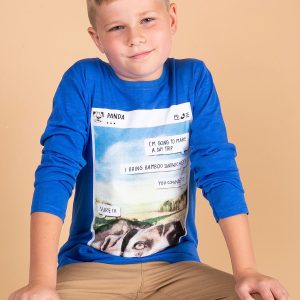 Wholesale Blue cotton blouse for boy with print